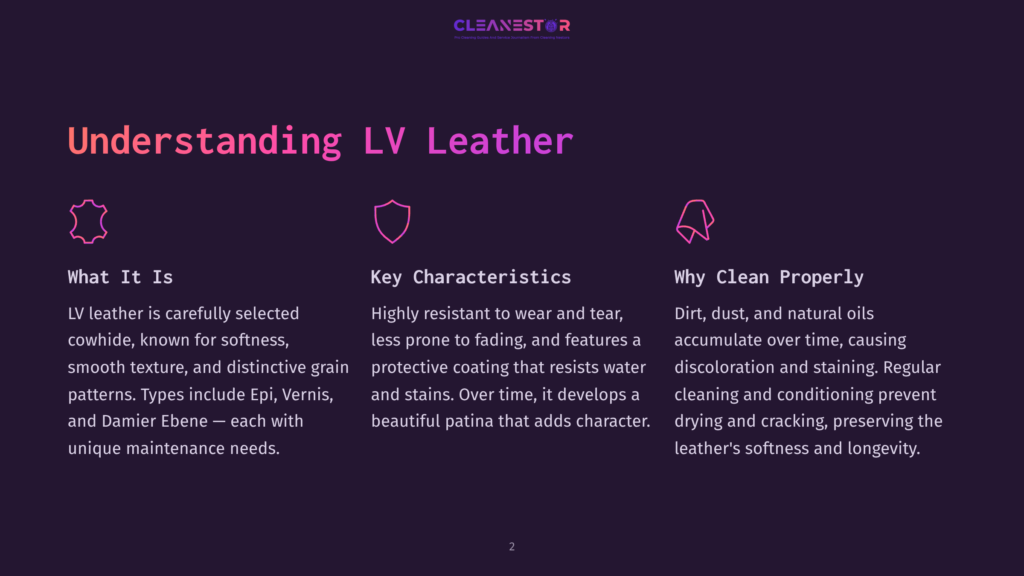 Understanding Lv Leather: What It Is, Key Characteristics, And Why Clean Properly. Icons Represent Leather Types, Protective Coating, And Cleaning Tips.