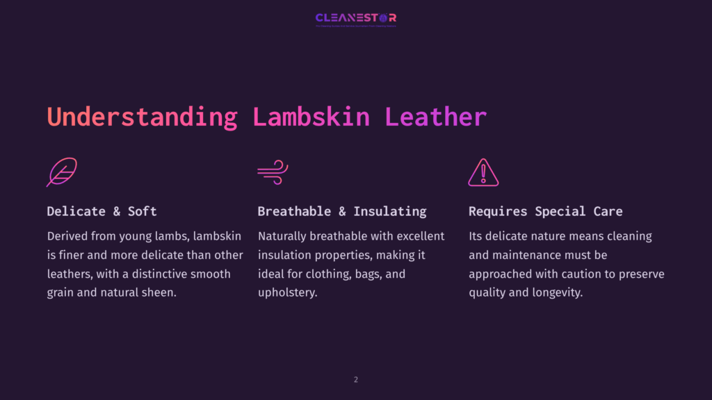 Understanding Lambskin Leather: Delicate &Amp; Soft, Breathable &Amp; Insulating, Requires Special Care. Icons Represent Each Point.