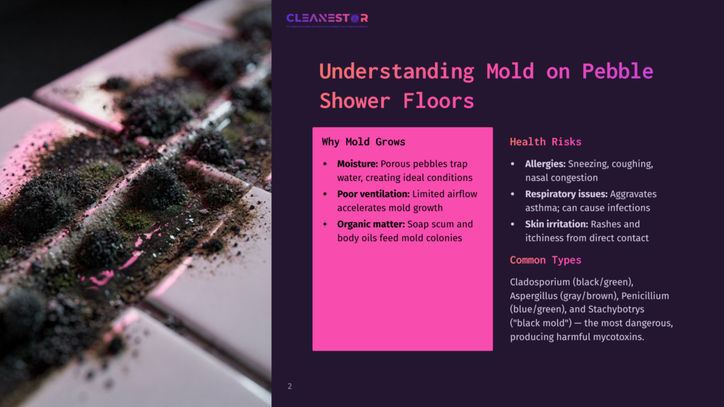 Close-Up Of Black And Green Mold Growing On A Pebble Shower Floor, With Text Overlay &Quot;Understanding Mold On Pebble Shower Floors&Quot; And &Quot;Health Risks&Quot; Details.