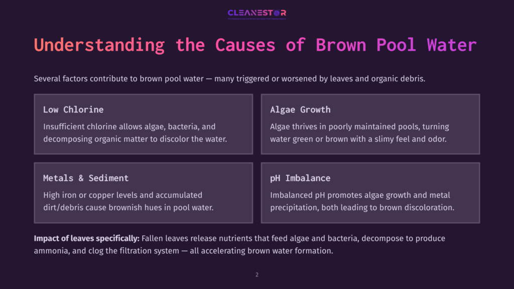 A Graphic With Purple Background Explaining Causes Of Brown Pool Water, With Sections On Low Chlorine, Algae Growth, Metals And Sediment, And Ph Imbalance.