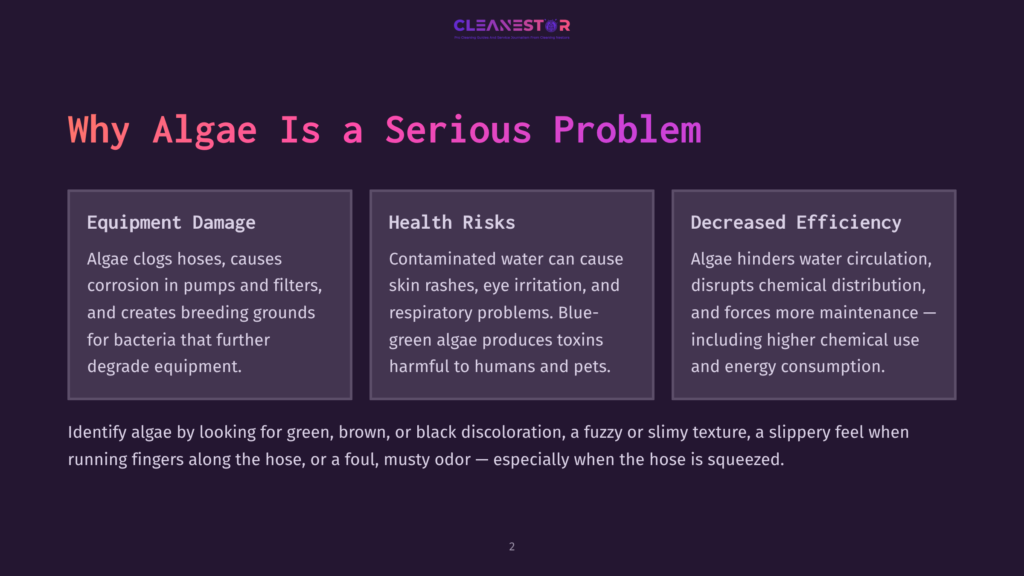 Slide From A Presentation Titled &Quot;Why Algae Is A Serious Problem,&Quot; Detailing Equipment Damage, Health Risks, And Decreased Efficiency Due To Algae, With The Cleanestor Logo At The Top.