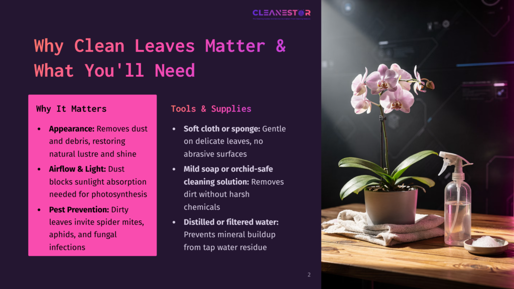 2 Why Clean Leaves Matter And What Youll Need A Healthy Orchid Plant With Delicate Pink Blooms Sits In A Pot On A Stack Of White Towels, Next To A Spray Bottle And A Small Dish Of White Powder. Text Overlays Discuss &Quot;Why Clean Leaves Matter&Quot; And &Quot;Tools &Amp; Supplies&Quot; For Plant Care.