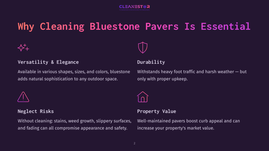 Infographic Detailing The Importance Of Cleaning Bluestone Pavers, Highlighting Versatility, Durability, Neglect Risks, And Property Value. Text Includes &Quot;Cleanestor&Quot;.
