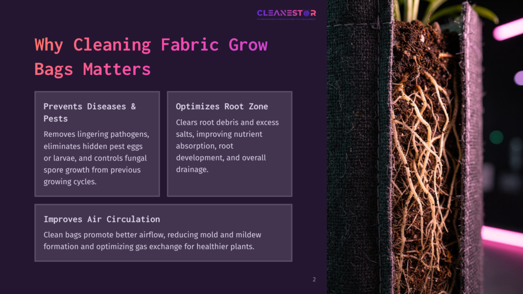 2 Why Cleaning Fabric Grow Bags Matters Close-Up Of A Fabric Grow Bag With Healthy Plant Roots Growing Through The Sides, Showing Vibrant Root Systems And Soil. Text Highlights Benefits Like Preventing Diseases, Optimizing Root Zone, And Improving Air Circulation.