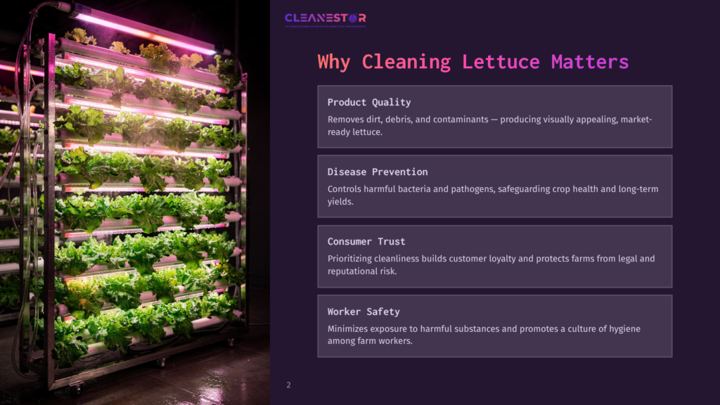 Vertical Hydroponic Farm With Rows Of Vibrant Green Lettuce Under Bright Grow Lights. The Cleanestor Logo And &Quot;Why Cleaning Lettuce Matters&Quot; Are Visible.