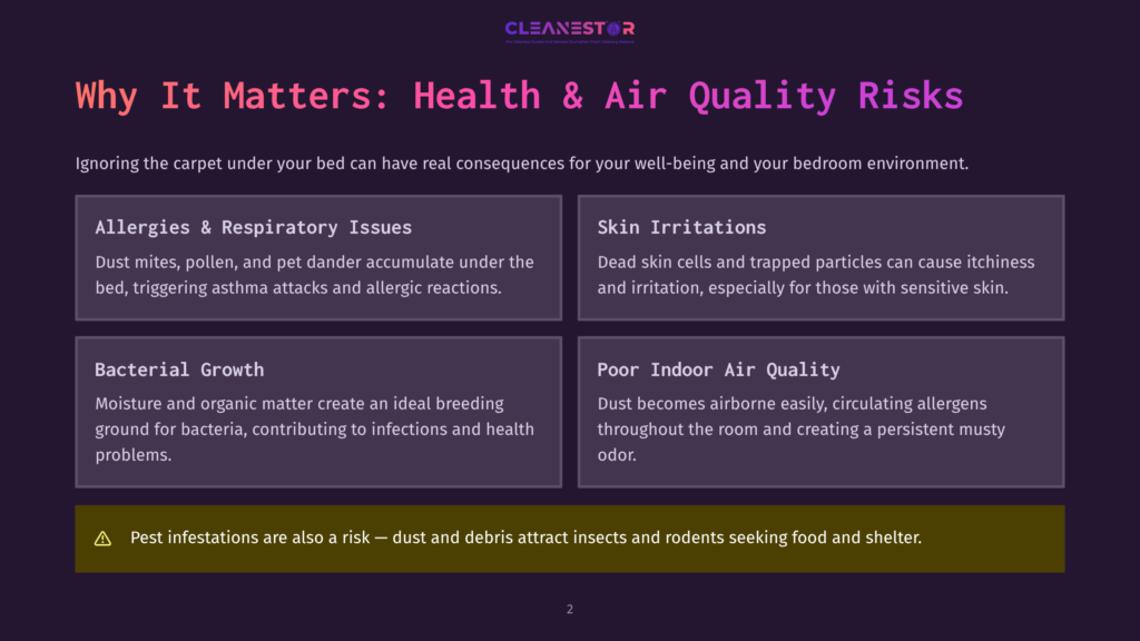 Infographic Titled &Quot;Why It Matters: Health &Amp; Air Quality Risks&Quot; Detailing Allergies, Respiratory Issues, Skin Irritations, Bacterial Growth, And Poor Indoor Air Quality Due To Dust And Pests.