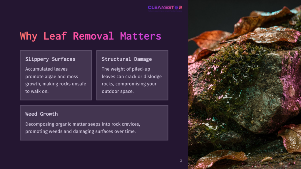 Close-Up Of Wet, Fallen Autumn Leaves And Moss Clinging To A Textured Rock. The Image Highlights The Slippery And Structural Damage Potential Of Leaf Accumulation.