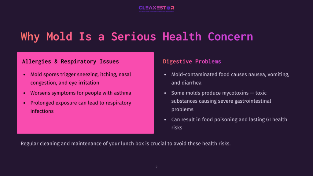 Presentation Slide Titled &Quot;Why Mold Is A Serious Health Concern,&Quot; Detailing Mold&Amp;Apos;S Effects On Allergies, Respiratory Issues, And Digestive Problems, With A Pink Sidebar Listing Symptoms.