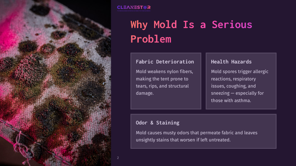 Close-Up Of Fabric With Mold Growth, Showing Fuzzy Green And Brown Patches. The Background Is Dark With Pink And Purple Lighting. Text Overlay Reads &Quot;Why Mold Is A Serious Problem&Quot; With Sections On &Quot;Fabric Deterioration,&Quot; &Quot;Health Hazards,&Quot; And &Quot;Odor &Amp; Staining.