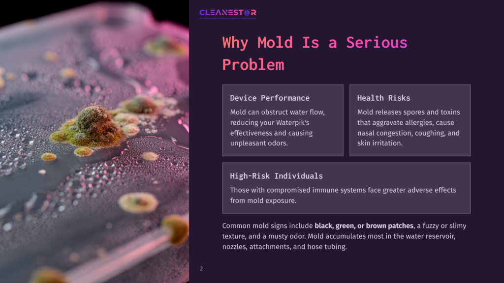 Close-Up Of Green And Brown Mold Growing On A Wet Surface, With Text Overlay &Quot;Why Mold Is A Serious Problem&Quot; And &Quot;Cleanestor&Quot; Logo.