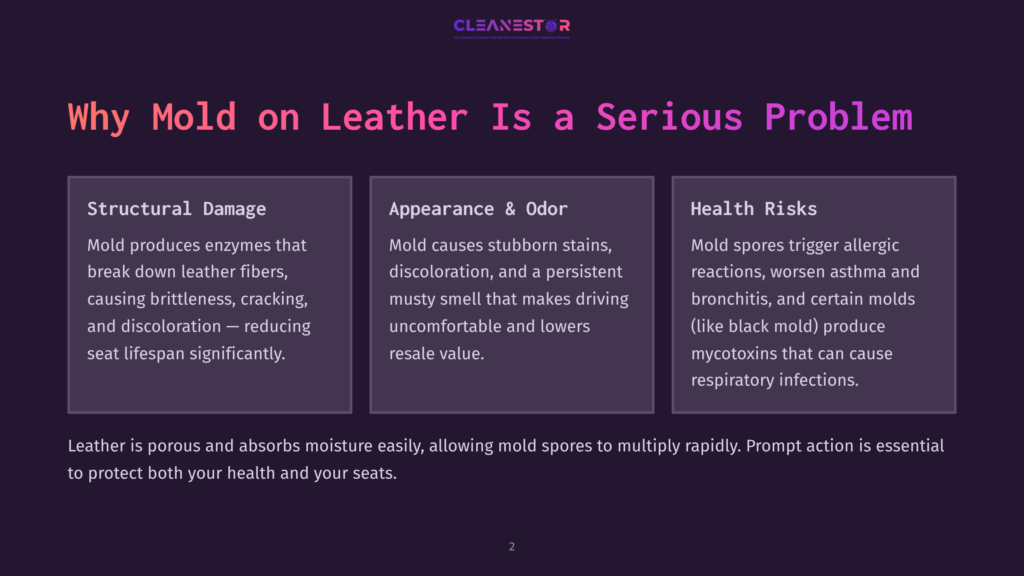 2 Why Mold On Leather Is A Serious Problem Infographic Detailing The Serious Problem Of Mold On Leather, With Sections On Structural Damage, Appearance &Amp; Odor, And Health Risks. The Text &Quot;Why Mold On Leather Is A Serious Problem&Quot; Is Prominently Displayed.