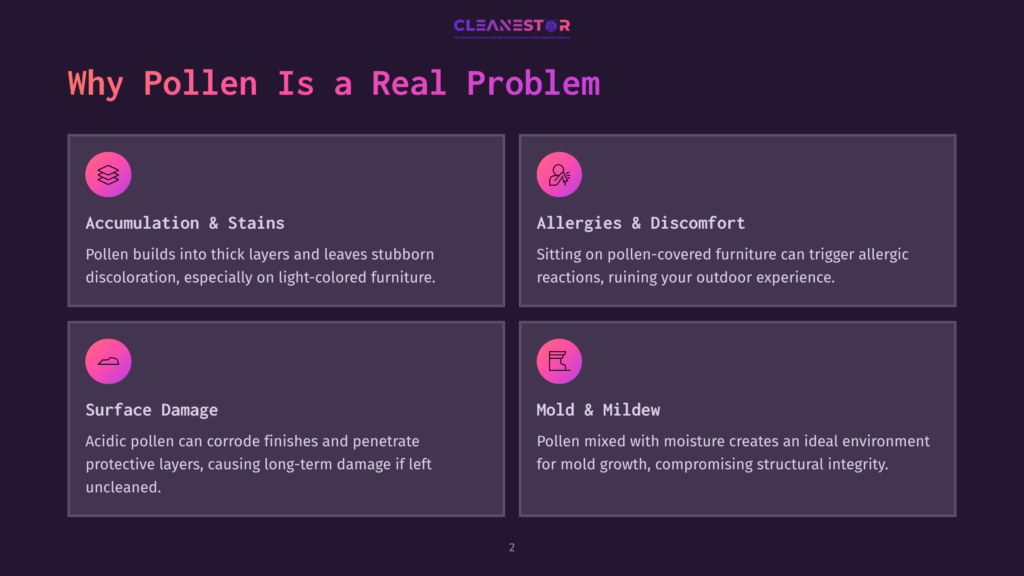 2 Why Pollen Is A Real Problem 1 Infographic Titled &Quot;Why Pollen Is A Real Problem&Quot; With Four Sections: Accumulation &Amp; Stains, Allergies &Amp; Discomfort, Surface Damage, And Mold &Amp; Mildew, Detailing The Negative Impacts Of Pollen.