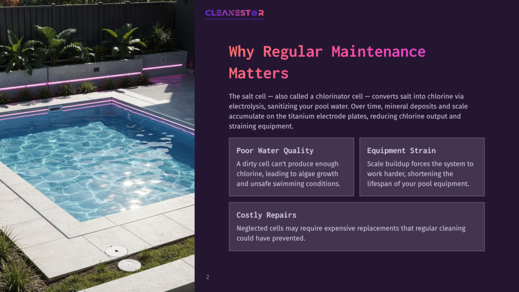 A Modern Backyard Swimming Pool At Twilight, With Illuminated Pink Led Lights Lining The Pool'S Edge And Surrounding Modern Planters. The Text &Quot;Cleanestor&Quot; Is Visible At The Top Left Of The Image.