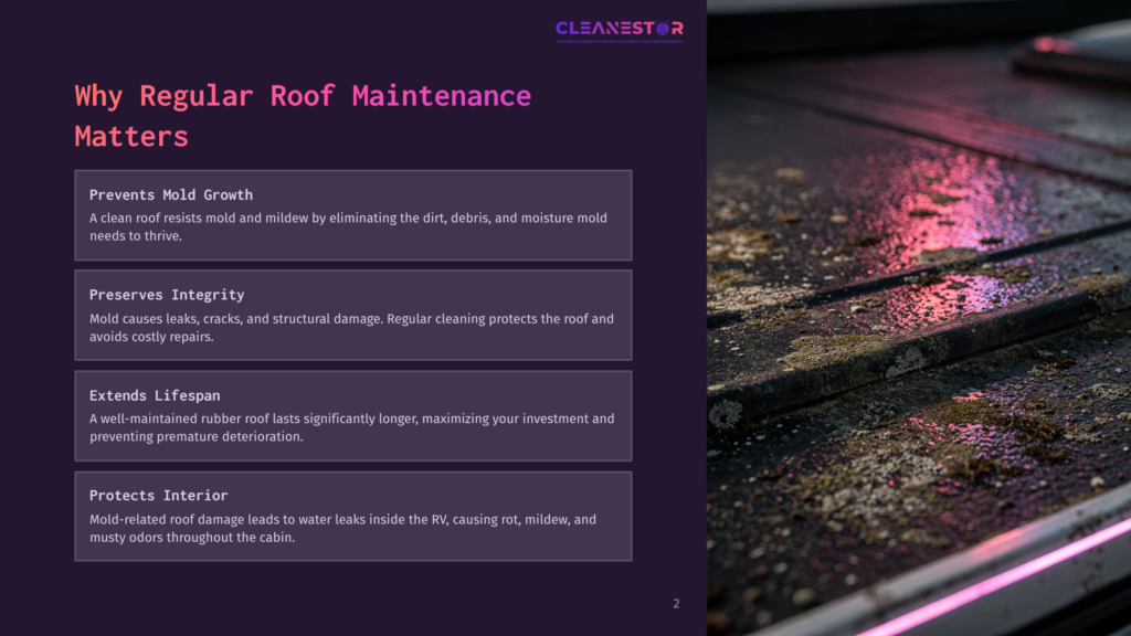 Close-Up Of A Dirty, Wet, And Moss-Covered Rv Roof With Pink Led Lights Reflecting On The Surface. Text Overlay Reads &Quot;Cleanestor&Quot; And &Quot;Why Regular Roof Maintenance Matters.
