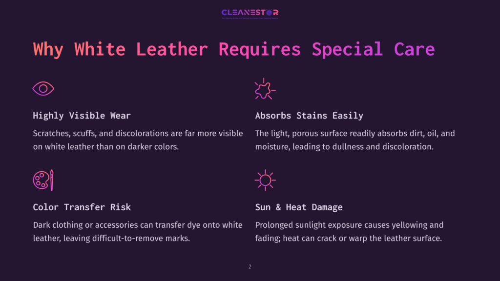 2 Why White Leather Requires Special Care Infographic Detailing Why White Leather Requires Special Care: Highly Visible Wear, Absorbs Stains Easily, Color Transfer Risk, And Sun &Amp; Heat Damage.