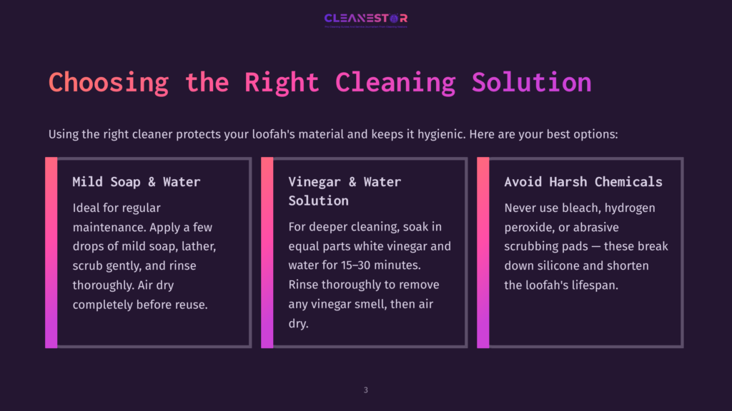 Three Vertical Panels Detailing Loofah Cleaning Solutions: Mild Soap &Amp; Water, Vinegar &Amp; Water, And Avoid Harsh Chemicals. The Cleanestor Logo Is At The Top.