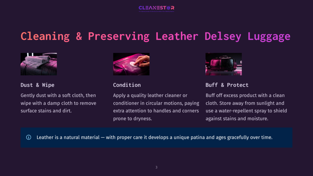 An Infographic Showing Three Steps For Cleaning And Preserving Delsey Luggage: Dust &Amp; Wipe, Condition, And Buff &Amp; Protect, With Icons For Each Step.