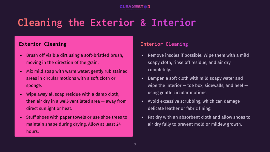 Cleanestor Logo Above Text Detailing Exterior And Interior Cleaning Tips For Shoes, Including Brushing, Washing, And Drying Methods.