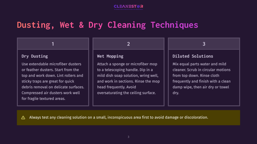 Cleanestor Presentation Slide Detailing Dusting, Wet Mopping, And Diluted Solutions For Cleaning Techniques. Includes Tips For Each Method.