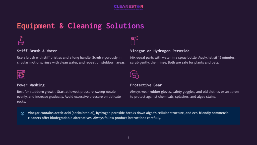 Illustration Of Cleaning Equipment And Solutions: Stiff Brush, Power Washing, And Vinegar Or Hydrogen Peroxide Spray Bottle. Protective Gear Is Also Depicted. Text Includes &Quot;Equipment &Amp; Cleaning Solutions,&Quot; &Quot;Stiff Brush &Amp; Water,&Quot; &Quot;Power Washing,&Quot; &Quot;Vinegar Or Hydrogen Peroxide,&Quot; And &Quot;Protective Gear.