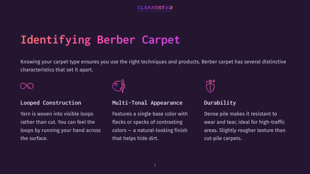 Identifying Berber Carpet: Looped Construction, Multi-Tonal Appearance, And Durability. The Text Highlights Key Characteristics Of Berber Carpets, Including Their Looped Yarn, Single Base Color With Flecks, And Dense Pile.