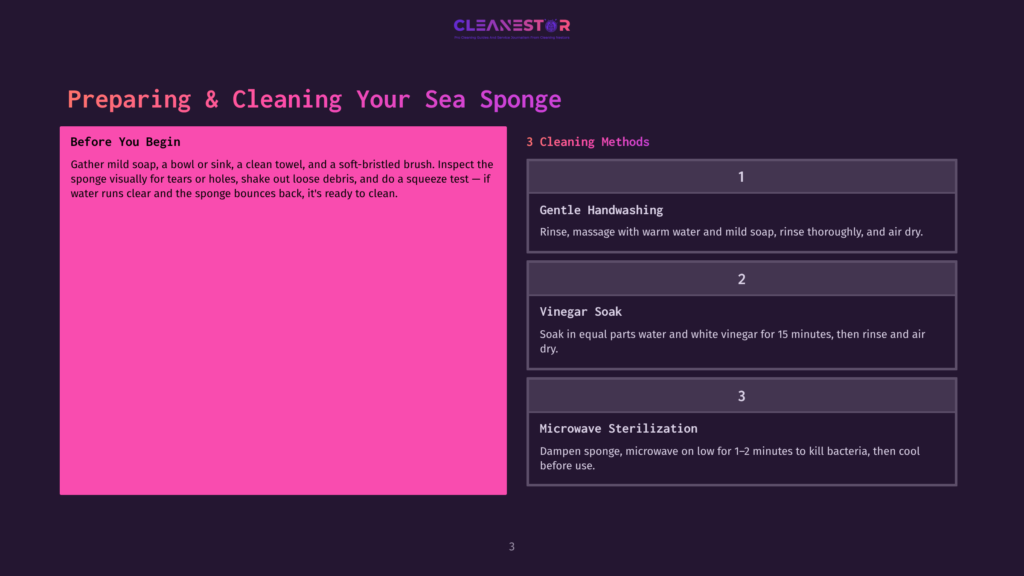 3 Preparing And Cleaning Your Sea Sponge Infographic Titled &Quot;Preparing &Amp; Cleaning Your Sea Sponge&Quot; With Steps For Gentle Handwashing, Vinegar Soak, And Microwave Sterilization.