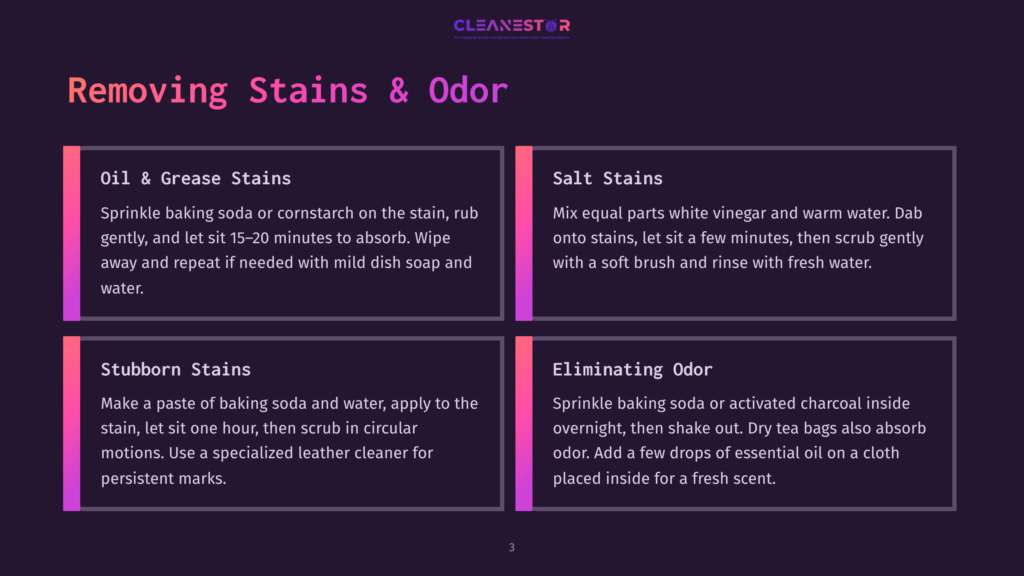 Infographic Titled &Quot;Removing Stains &Amp; Odor&Quot; With Four Sections: Oil &Amp; Grease Stains, Salt Stains, Stubborn Stains, And Eliminating Odor, Offering Cleaning Tips.