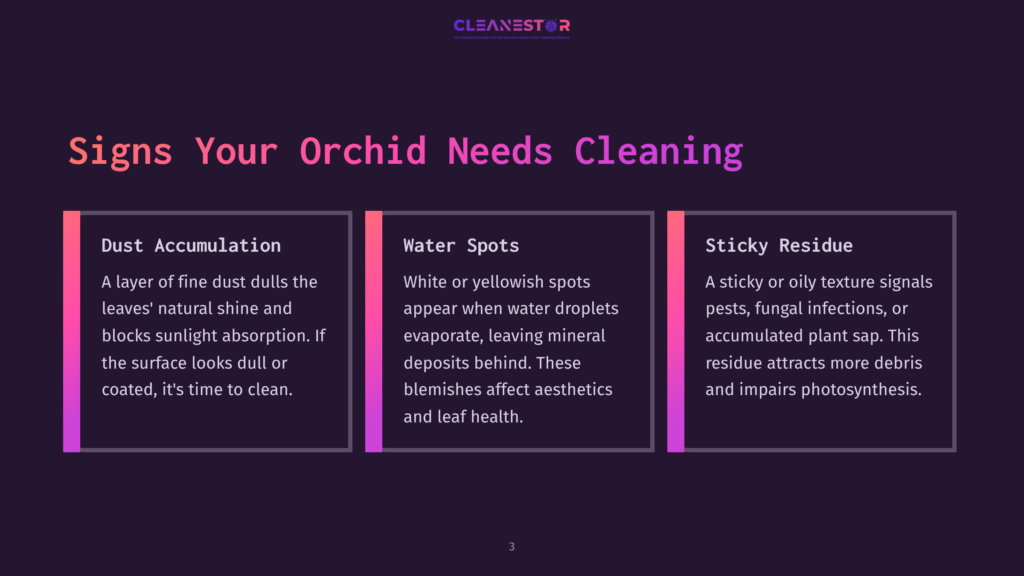 3 Signs Your Orchid Needs Cleaning Infographic On Signs Your Orchid Needs Cleaning, Showing Three Sections With Text. Left Section Titled &Quot;Dust Accumulation,&Quot; Describing Fine Dust Dulling Leaves' Shine And Blocking Sunlight. Middle Section Titled &Quot;Water Spots,&Quot; Describing White Or Yellowish Spots Left By Evaporating Water. Right Section Titled &Quot;Sticky Residue,&Quot; Describing Oily Texture Attracting Debris And Impairing Photosynthesis.