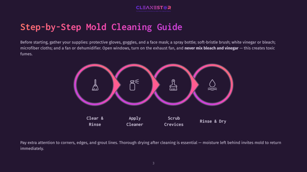 Cleanestor Step-By-Step Mold Cleaning Guide With Four Circular Icons Representing Rinse, Apply Cleaner, Scrub, And Dry. Text Includes &Quot;Step-By-Step Mold Cleaning Guide&Quot; And Instructions.