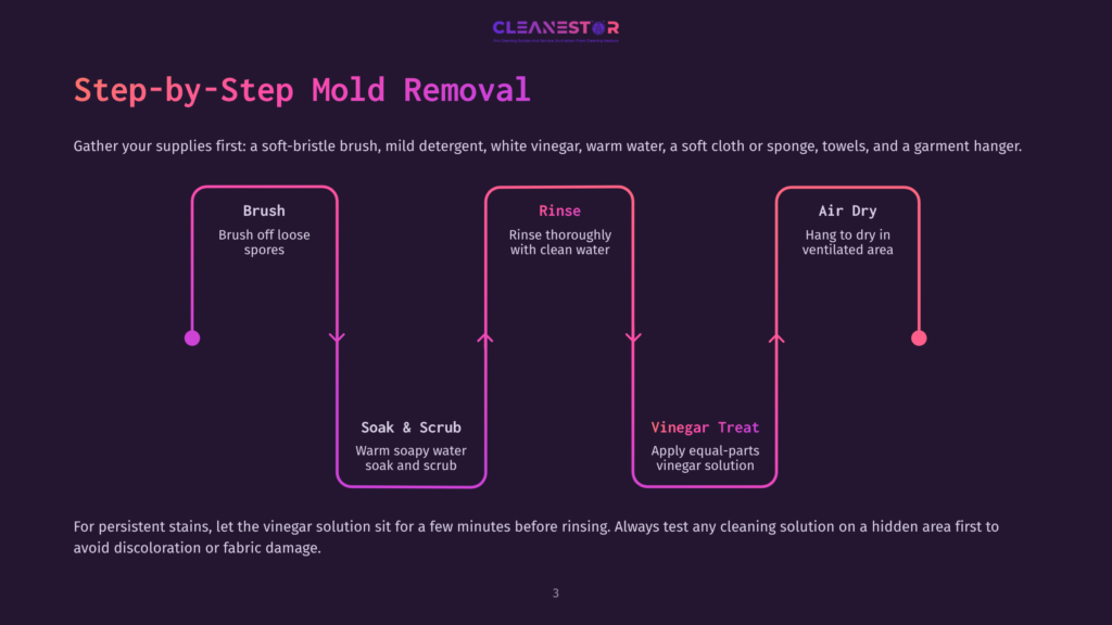 Step-By-Step Mold Removal Guide: Brush Off Spores, Rinse Thoroughly With Clean Water, And Air Dry. Includes Steps For Mold Treatment With Vinegar And A Warm Soapy Scrub.