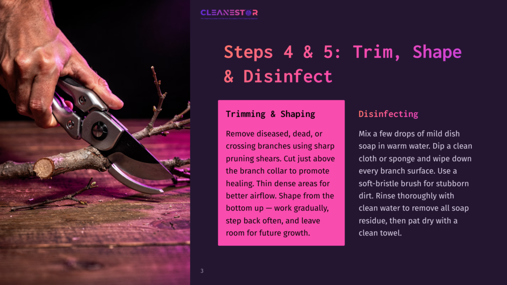 3 Steps 4 And 5 Trim Shape And Disinfect Close-Up Of Pruning Shears Trimming A Woody Branch On A Rustic Wooden Surface. Text Overlay Reads &Quot;Steps 4 &Amp; 5: Trim, Shape &Amp; Disinfect&Quot; And &Quot;Trimming &Amp; Shaping&Quot; And &Quot;Disinfecting&Quot;.