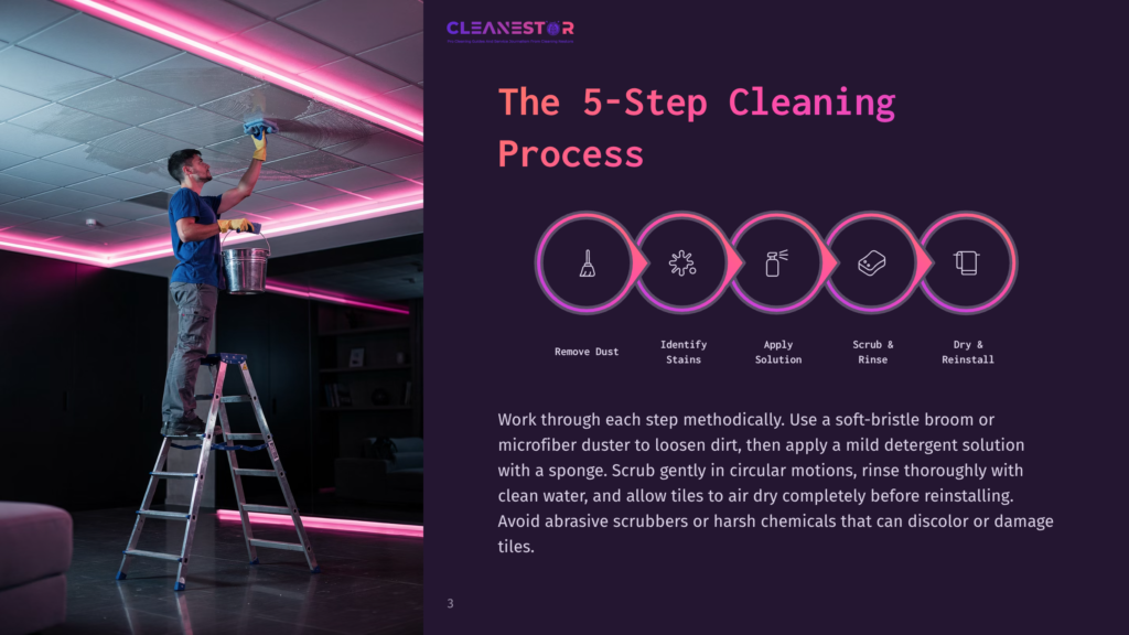 Cleanestor 5-Step Cleaning Process Graphic Showing Icons For Dusting, Stain Identification, Applying Solution, Scrubbing, And Drying. Text Describes The Methodical Cleaning Approach.