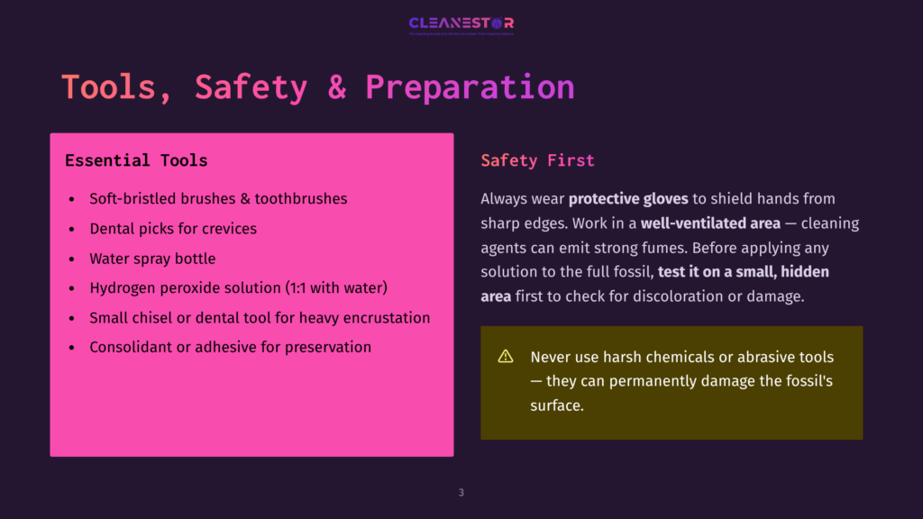 A Vibrant Infographic Displays Tools, Safety Measures, And Preparation Tips For Fossil Cleaning. Essential Tools Listed Include Soft-Bristled Brushes, Dental Picks, Water Spray Bottle, Hydrogen Peroxide Solution, Small Chisel, And Consolidant. Safety Instructions Emphasize Wearing Protective Gloves, Testing Solutions On A Hidden Area, And Avoiding Harsh Chemicals.