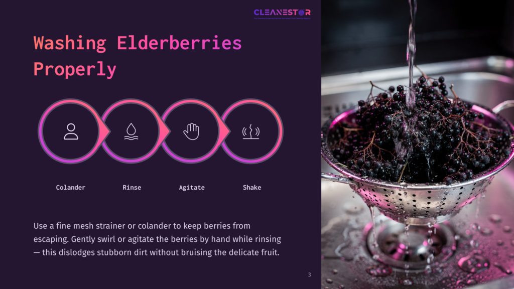 A Close-Up Of A Stainless Steel Colander Filled With Dark Purple Elderberries Under Running Water. The Image Includes Icons Representing Each Step Of The Washing Process: A Person, A Water Droplet, A Hand, And A Temperature Symbol.