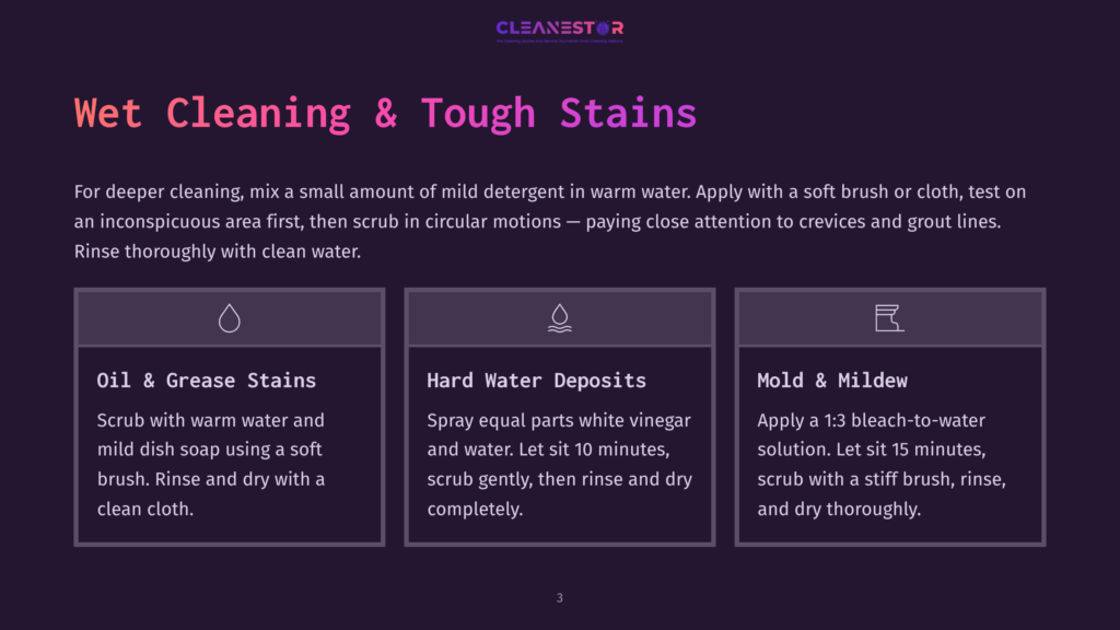 3 Wet Cleaning And Tough Stains Cleanestor Logo Above Text Detailing Solutions For Wet Cleaning And Tough Stains: Oil &Amp; Grease, Hard Water Deposits, And Mold &Amp; Mildew.