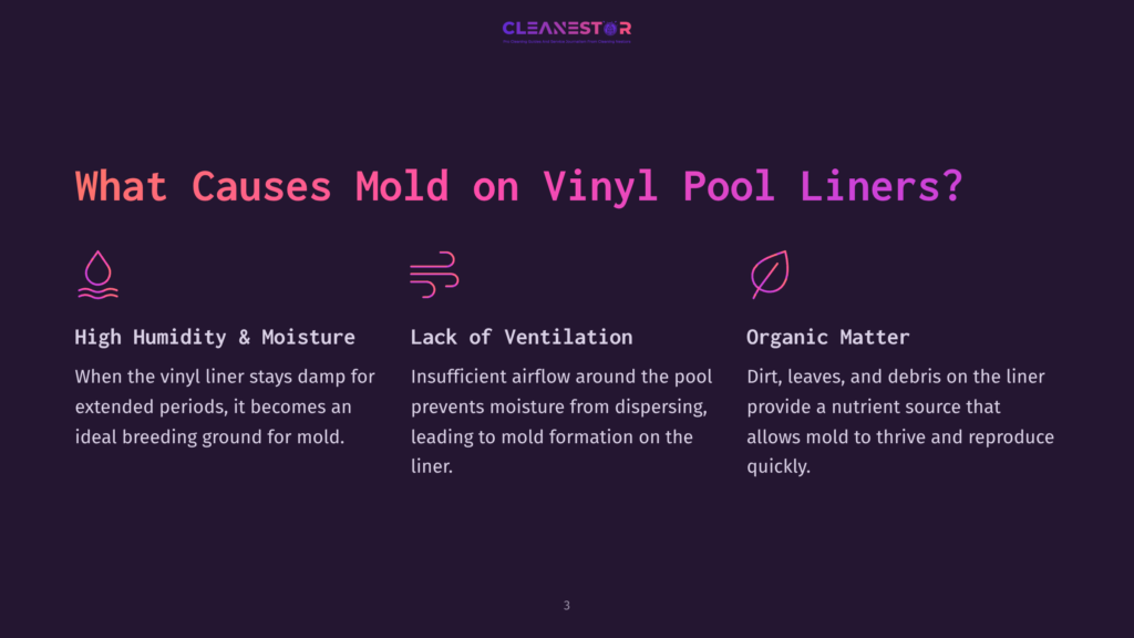 Graphic Listing The Top Causes Of Mold On Vinyl Pool Liners: High Humidity &Amp; Moisture, Lack Of Ventilation, And Organic Matter. The Text Explains How Dampness, Poor Airflow, And Debris Contribute To Mold Growth.