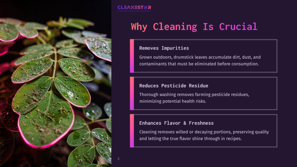 Close-Up Of Fresh Green Leaves With Water Droplets And Dirt, Illuminated By Pink Light, On A Dark Background. Text Overlay Reads &Quot;Cleanestor&Quot; And &Quot;Why Cleaning Is Crucial&Quot;.