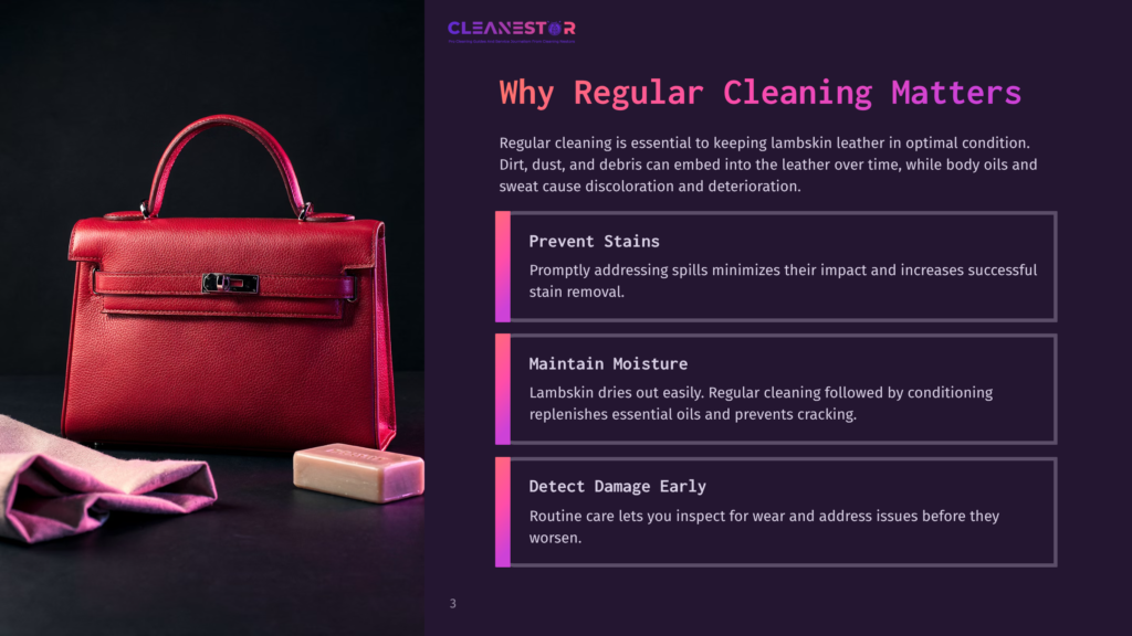 Red Lambskin Handbag With A Gold Clasp, A Small Bar Of Soap, And A Pink Cloth On A Dark Background, With Text &Quot;Cleanestor&Quot; And &Quot;Why Regular Cleaning Matters&Quot;.