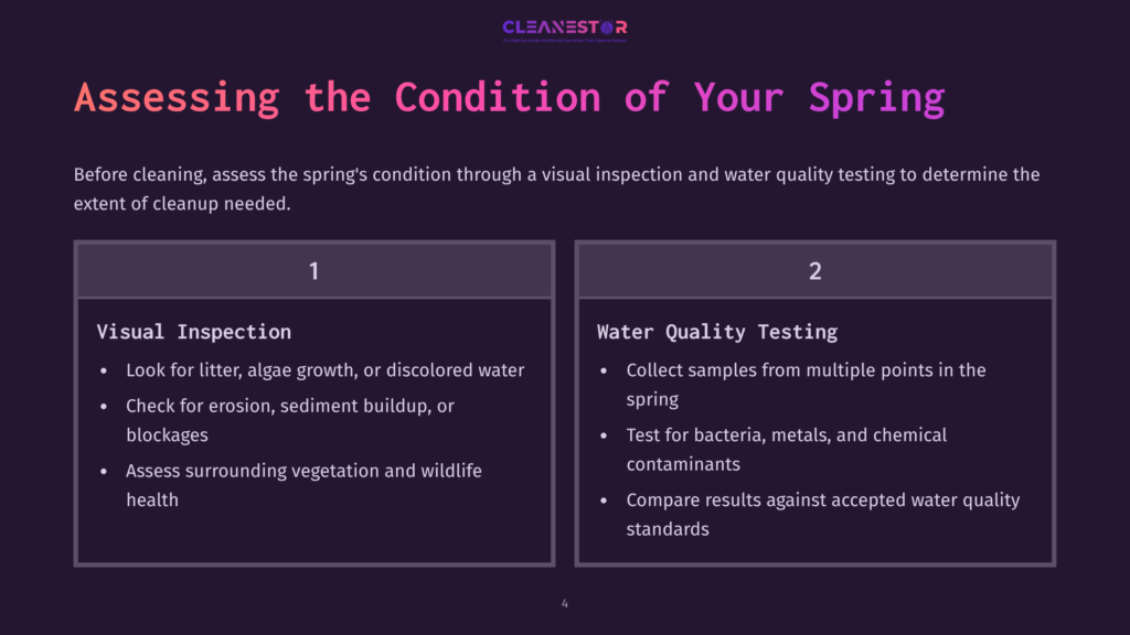 Slide Titled &Quot;Assessing The Condition Of Your Spring&Quot; With Two Columns: &Quot;Visual Inspection&Quot; And &Quot;Water Quality Testing,&Quot; Detailing Steps For Spring Assessment.