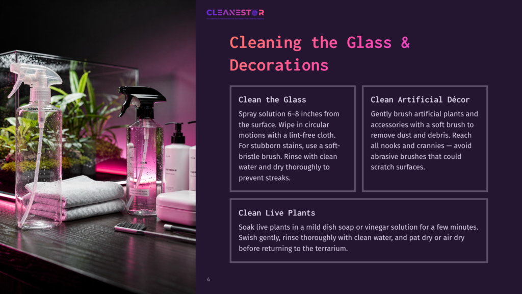 Cleaning Supplies For Terrariums: Spray Bottle, Cleaning Solution, Microfiber Cloths, And A Soft Brush For Cleaning Glass And Artificial Decor.