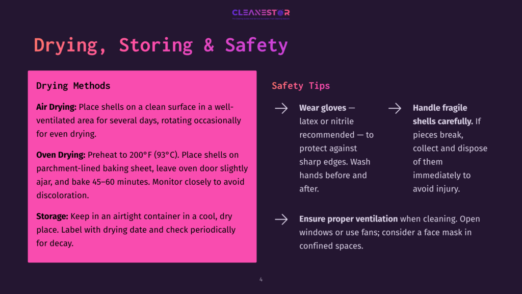 A Graphic Showing Drying, Storing, And Safety Tips For Shells, Including Air Drying, Oven Drying, And Storage Instructions, Along With Safety Tips For Handling Fragile Shells.