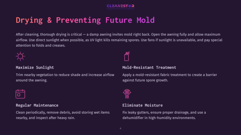 Graphic With Text &Quot;Drying &Amp; Preventing Future Mold&Quot;. It Shows Icons For Maximizing Sunlight, Mold-Resistant Treatment, Regular Maintenance, And Eliminating Moisture, With Accompanying Descriptive Text.
