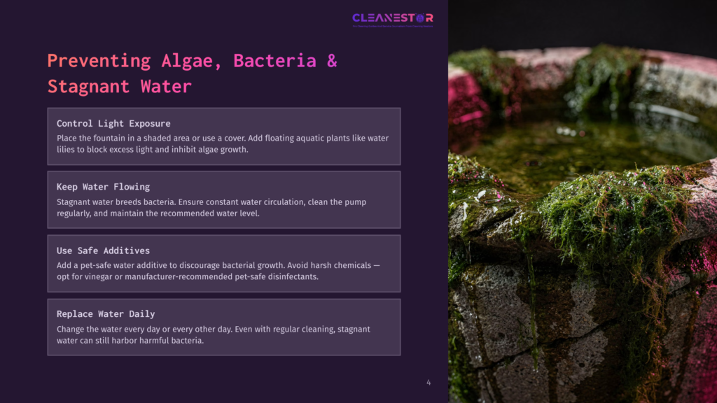 Close-Up Of A Stone Fountain Filled With Murky, Stagnant Water, Covered In Green Algae And Moss. Pink And Purple Light Illuminates The Scene, Highlighting The Neglected State Of The Water Feature.