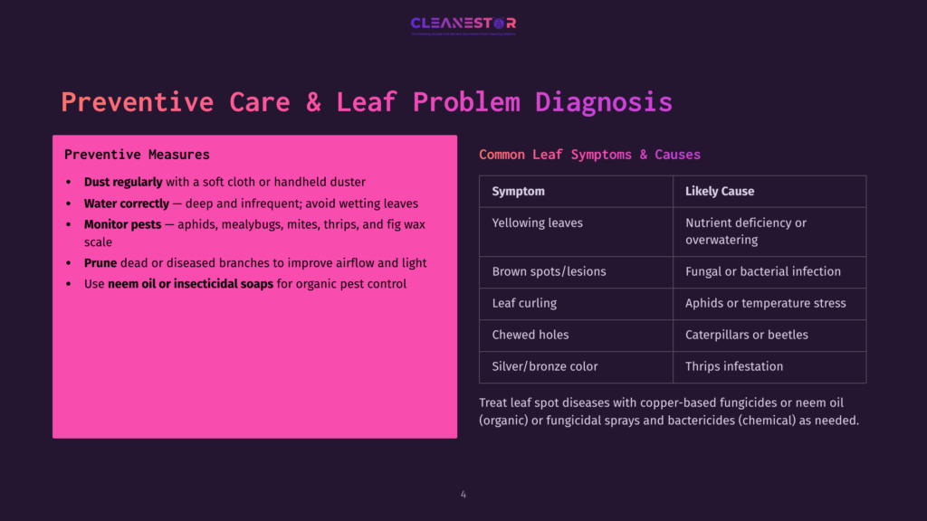 4 Preventive Care And Leaf Problem Diagnosis A Presentation Slide Titled &Quot;Preventive Care &Amp; Leaf Problem Diagnosis&Quot; From Cleanestor, Detailing Leaf Care Tips Like Proper Watering, Dusting, Pruning, And Using Neem Oil, Alongside A Chart Of Common Leaf Problems, Their Symptoms, And Likely Causes.