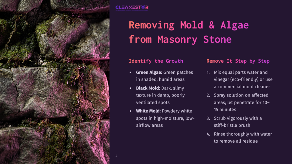 4 Removing Mold And Algae From Masonry Stone Close-Up Of A Mossy Stone Wall With Green Algae And Black Mold, Illustrating The Need For Masonry Cleaning And Mold Removal. Text Overlays Provide Instructions For Removing Mold And Algae From Stone.