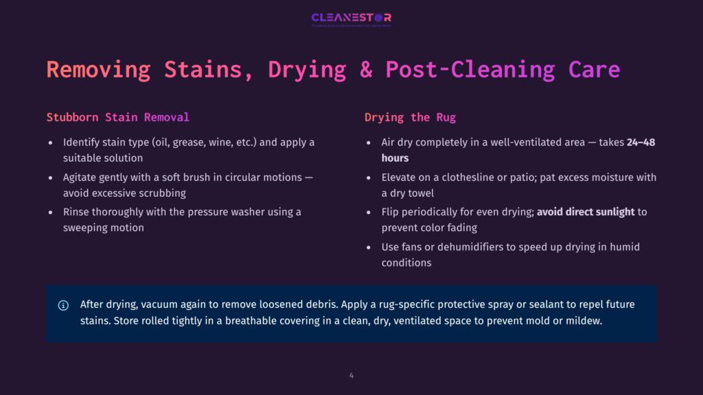 Cleanestor Logo With Text &Quot;Removing Stains, Drying &Amp; Post-Cleaning Care.&Quot; Below Are Bullet Points Detailing Stain Removal And Rug Drying Tips.
