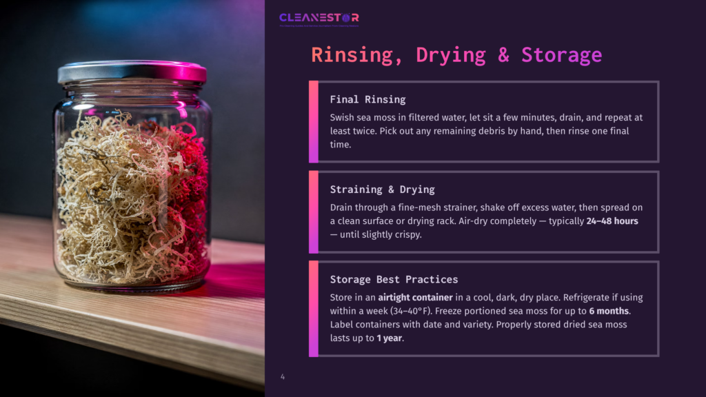 A Clear Glass Jar Filled With Dried Sea Moss Sits On A Wooden Surface, With Pink And Purple Light Illuminating The Contents. The Image Is Part Of A &Quot;Cleanestor&Quot; Branded Graphic Detailing Rinsing, Drying, And Storage Best Practices For Sea Moss.