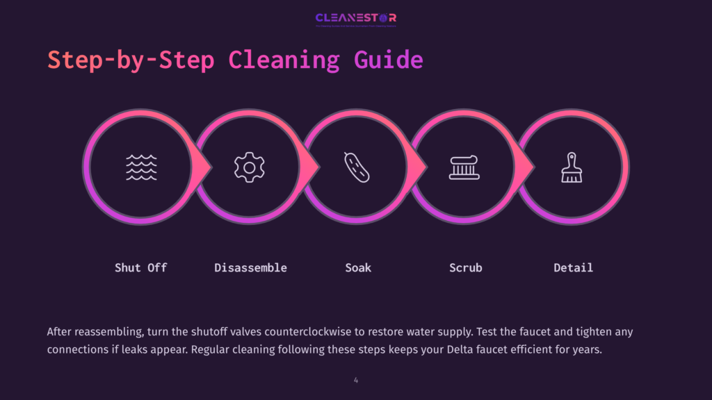 Step-By-Step Cleaning Guide With Icons For Shut Off, Disassemble, Soak, Scrub, And Detail, Presented By Cleanestor.