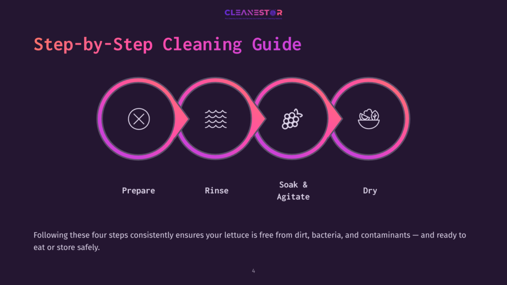 Step-By-Step Cleaning Guide Infographic Showing Four Circular Icons Representing Prepare, Rinse, Soak &Amp; Agitate, And Dry, With Text And A Logo For Cleanestor.