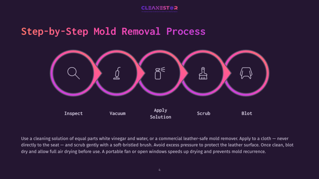 4 Step By Step Mold Removal Process Infographic Illustrating The 5-Step Mold Removal Process For Car Interiors: Inspect, Vacuum, Apply Solution, Scrub, And Blot. Features Stylized Icons And Text With A Gradient Color Scheme.